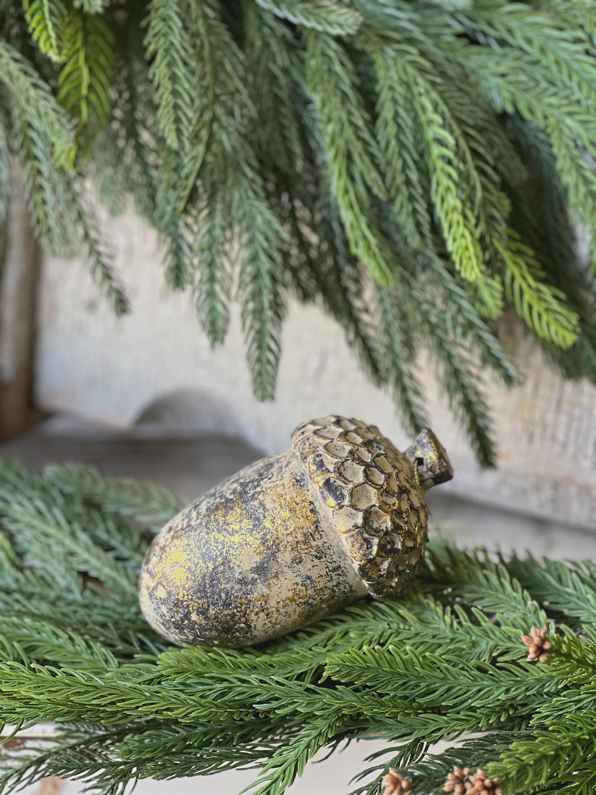 Nature's Masterpiece | 5" | Acorn |