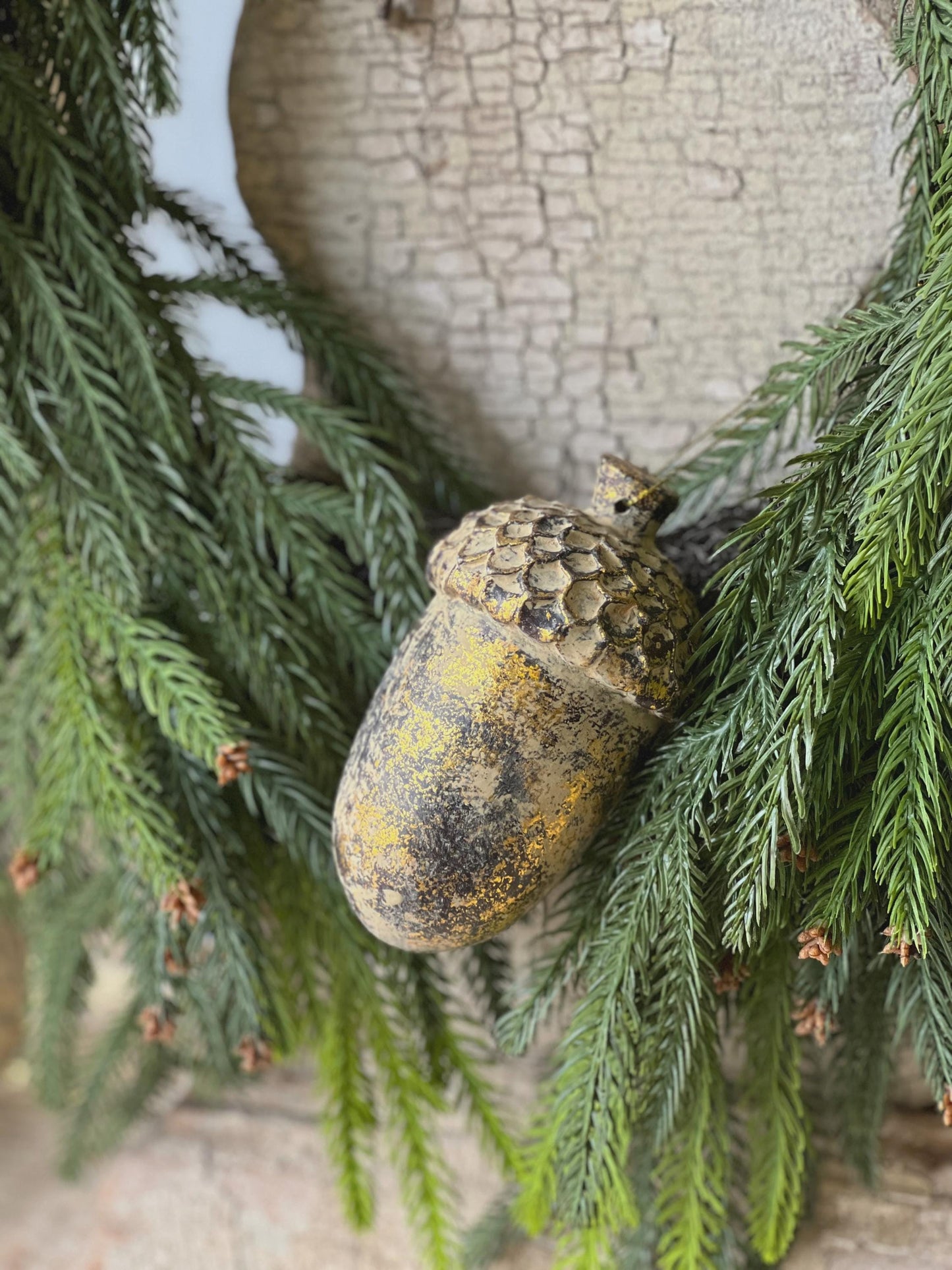 Nature's Masterpiece | 5" | Acorn |