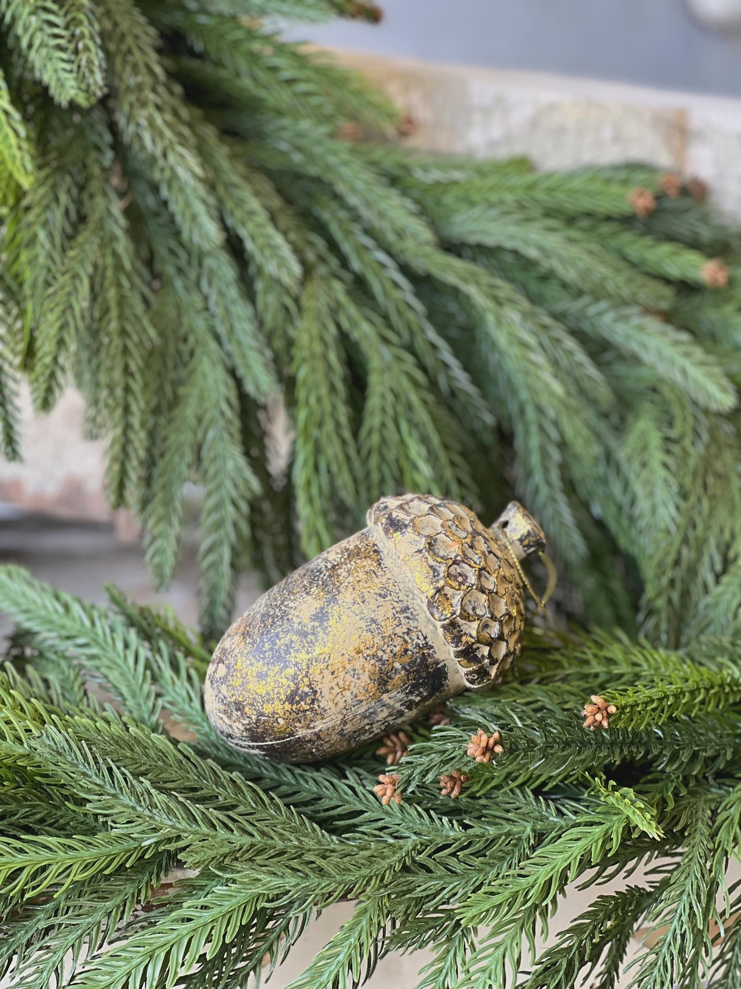 Nature's Masterpiece | 5" | Acorn |