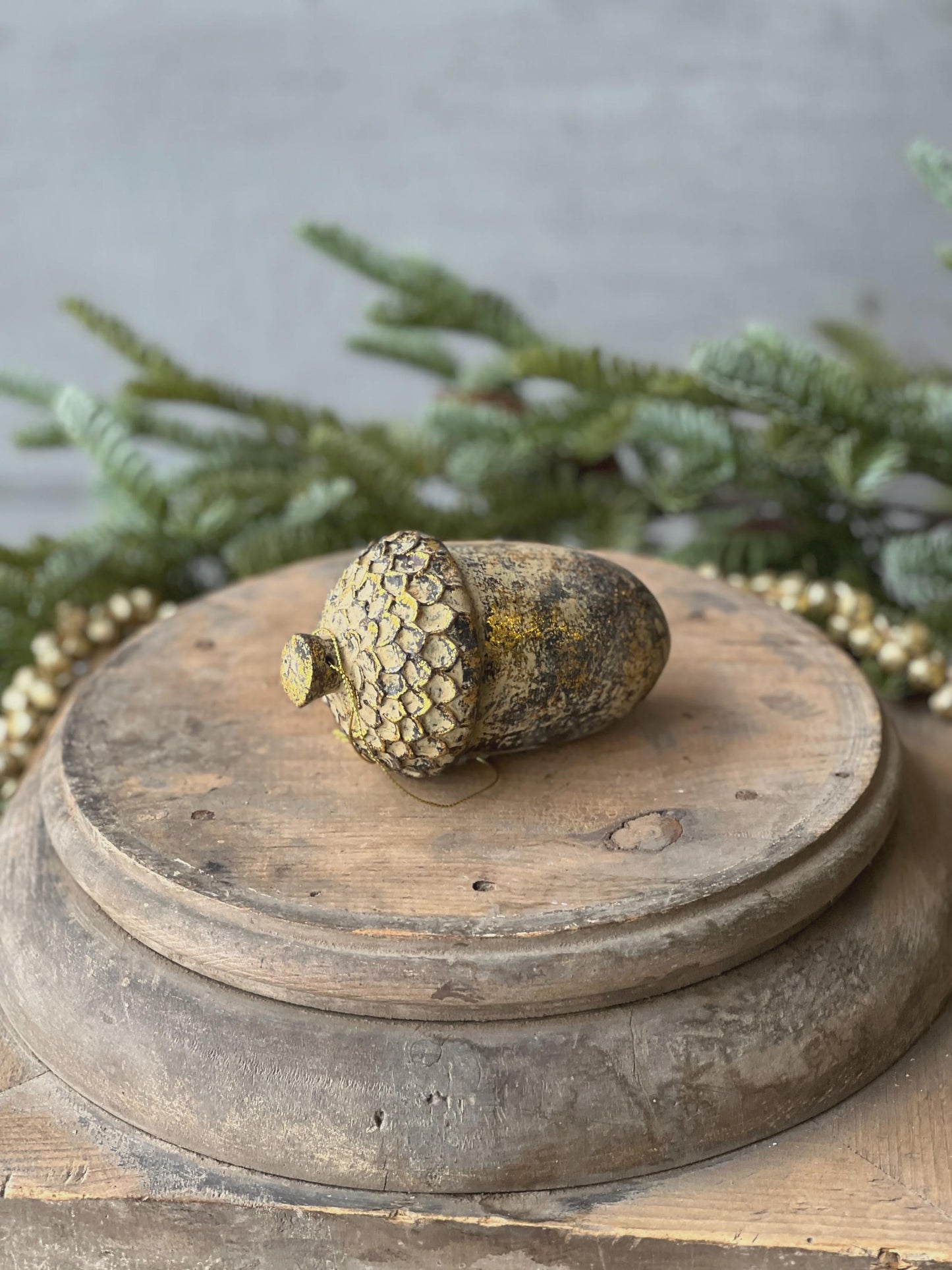 Nature's Masterpiece | 5" | Acorn |