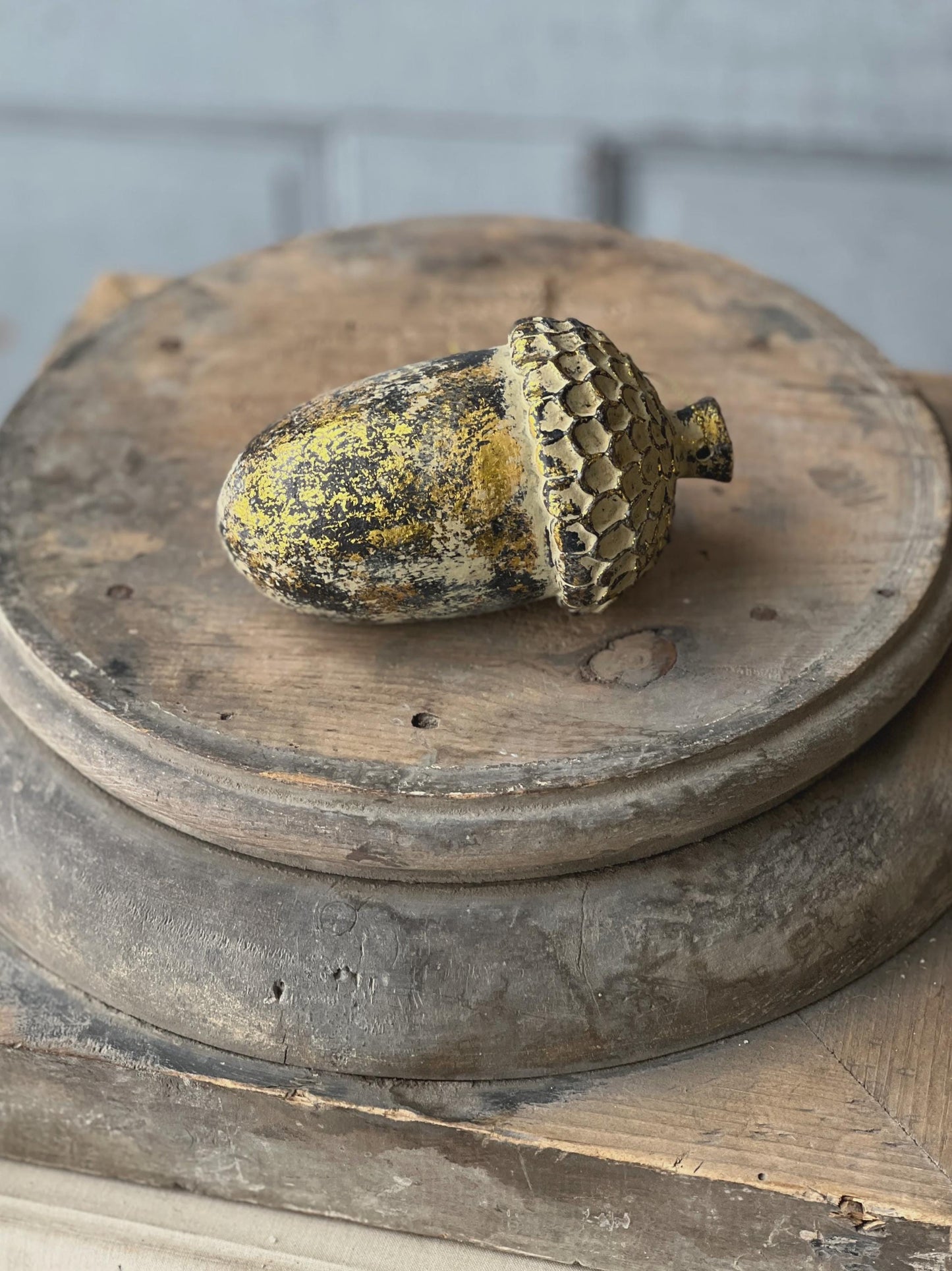 Nature's Masterpiece | 5" | Acorn |