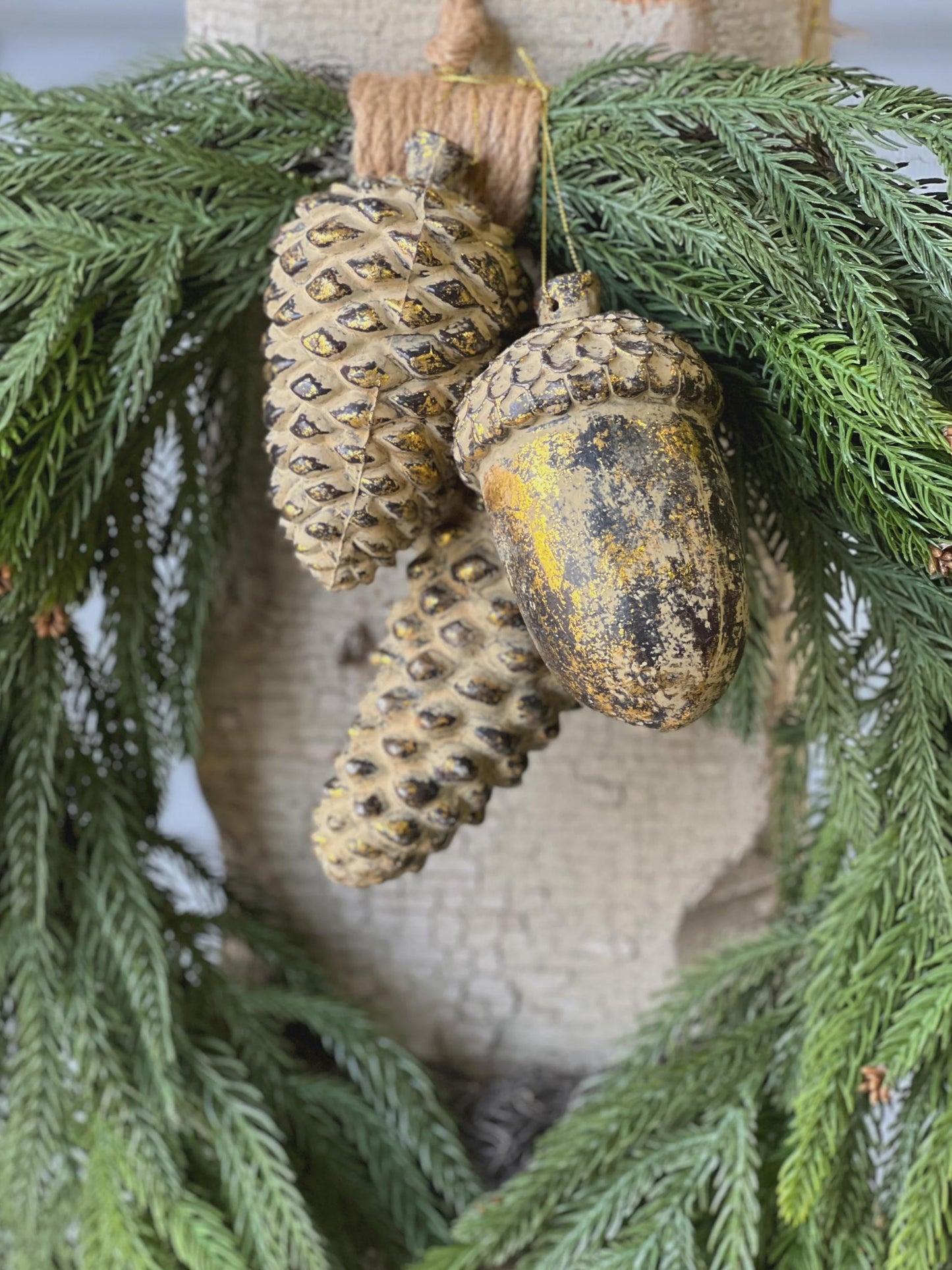 Nature's Masterpiece | 5" | Acorn |