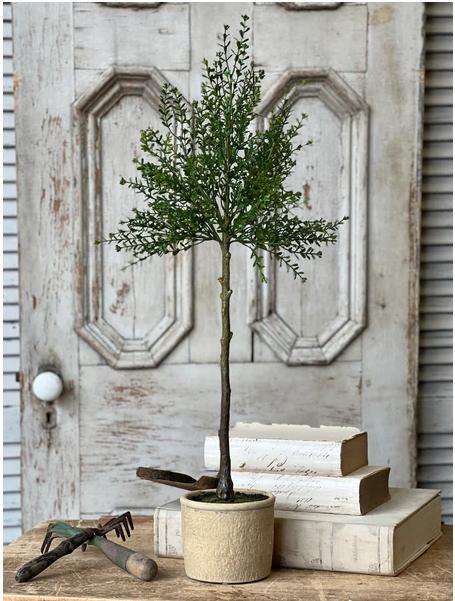 32" Yardley Topiary