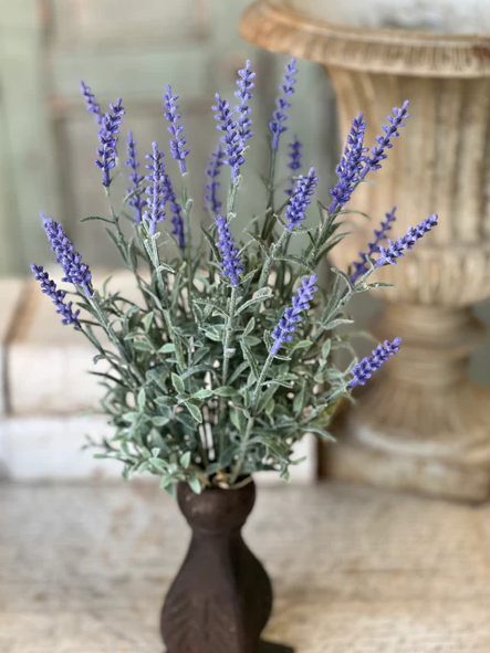Lavender Vale Bundle | 14.5"