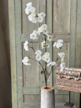 Antioch Blooms Spray | 39" | Cream