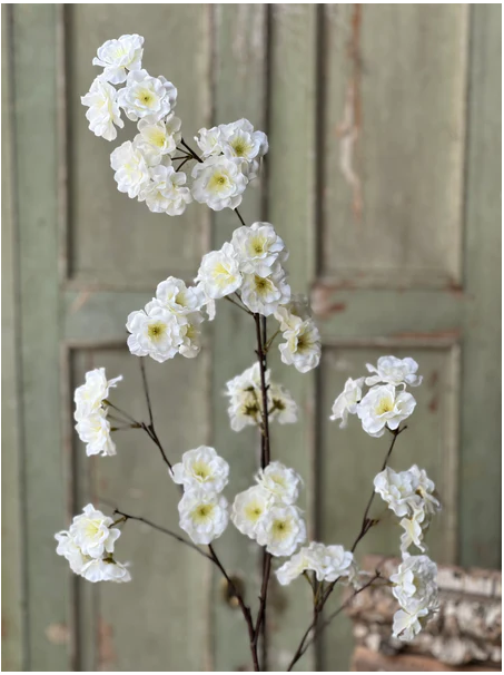 Antioch Blooms Spray | 39" | Cream