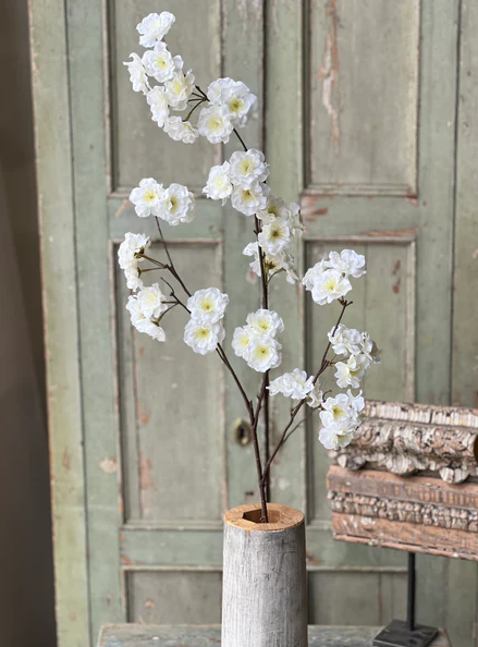 Antioch Blooms Spray | 39" | Cream