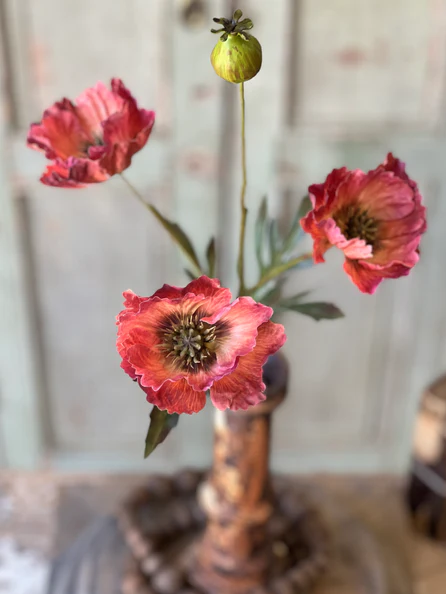 Winning Streak Poppy | 26.5" | Flambe'