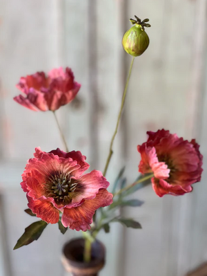Winning Streak Poppy | 26.5" | Flambe'