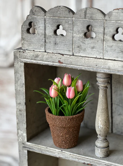 Teacup Tulip Pot | 5" | Pink