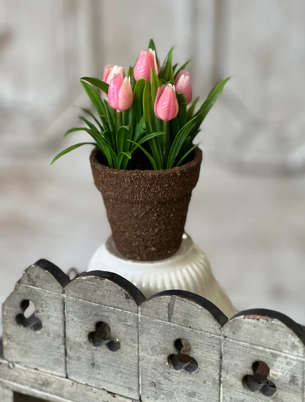 Teacup Tulip Pot | 5" | Pink