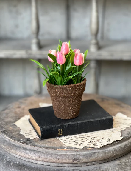 Teacup Tulip Pot | 5" | Pink