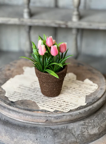 Teacup Tulip Pot | 5" | Pink