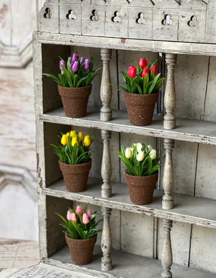 Teacup Tulip Pot | 5" | Pink