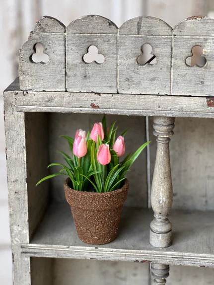Teacup Tulip Pot | 5" | Pink