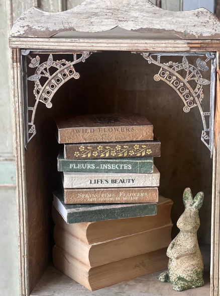 Vintage Volumes | History of Insects