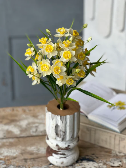 Daffodil Lane Bundle | 19.5" | Follies