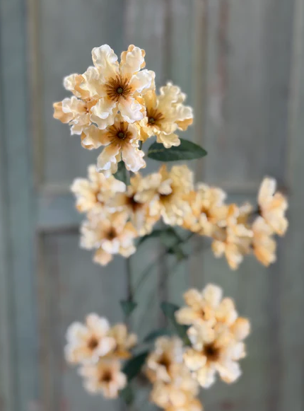 Frill Flower Spray | 39" | Dawning