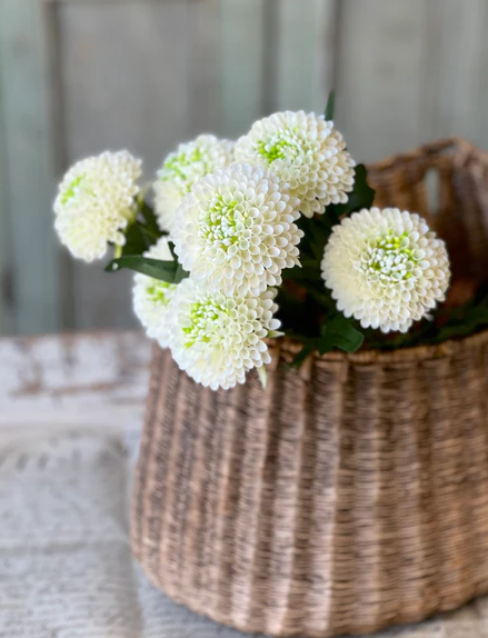 Corsage Florets | 17" | Cream