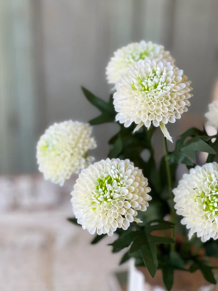 Corsage Florets | 17" | Cream