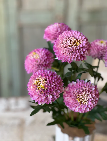 Corsage Florets | 17" | Siren
