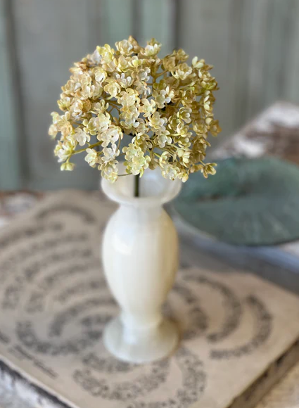 Whisper Bud Spray | 12" | Cream