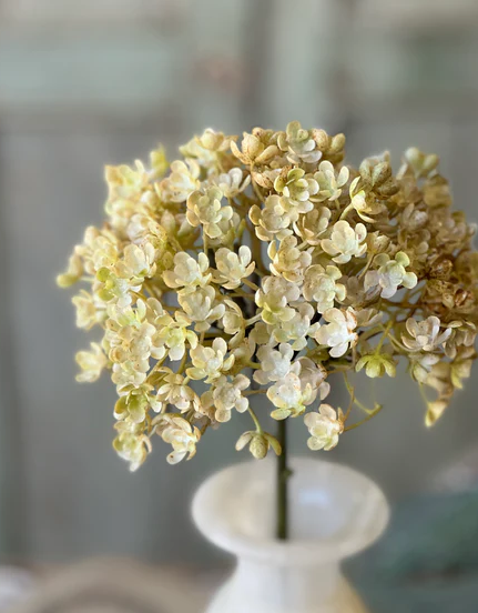 Whisper Bud Spray | 12" | Cream