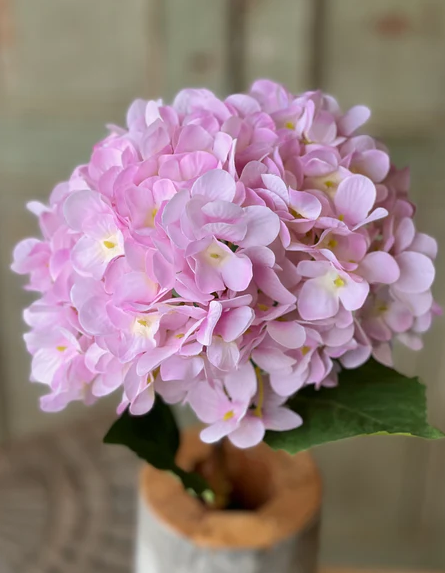 Callahan Hydrangea | 21.5" | Lilac