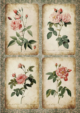 Decoupage Queen Rose Cards