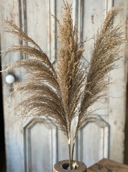 43" Hattie Pampas Bundle - Buff