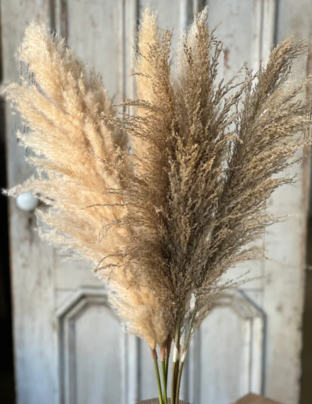 43" Hattie Pampas Bundle - Buff