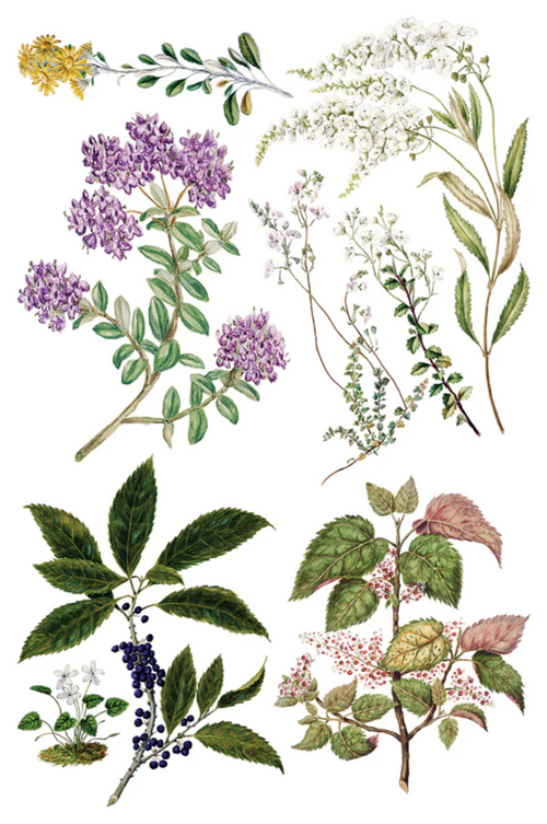 Sarah Featon’s Botanicals IOD Transfer 8x12 Pad™