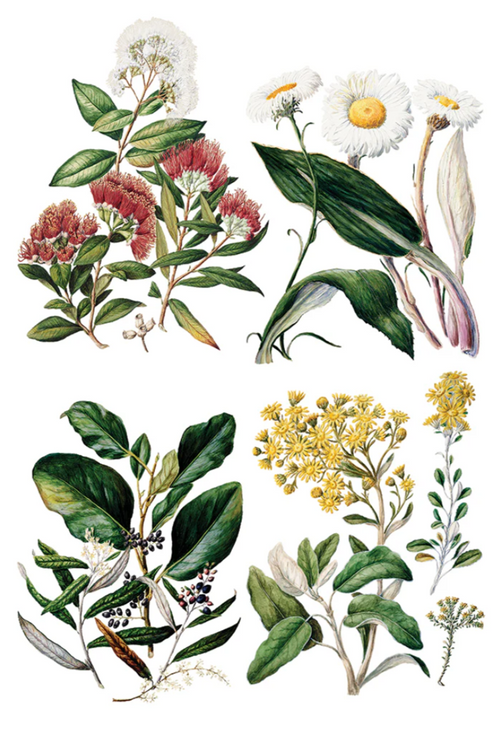 Sarah Featon’s Botanicals IOD Transfer 8x12 Pad™