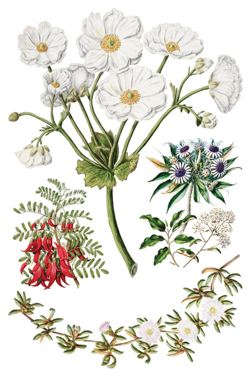 Sarah Featon’s Botanicals IOD Transfer 8x12 Pad™