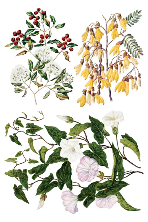 Sarah Featon’s Botanicals IOD Transfer 8x12 Pad™