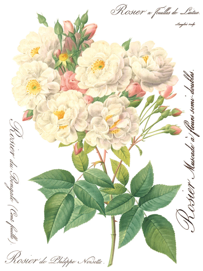 Rose Botanical IOD Transfer 12x16 Pad™