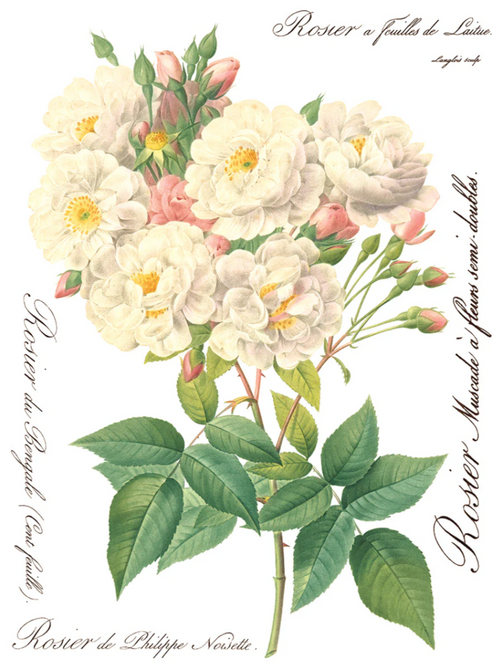 Rose Botanical IOD Transfer 12x16 Pad™