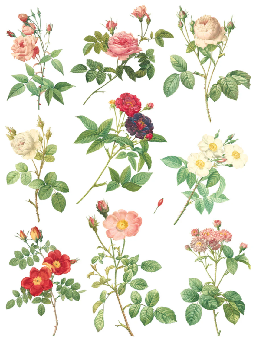 Rose Botanical IOD Transfer 12x16 Pad™