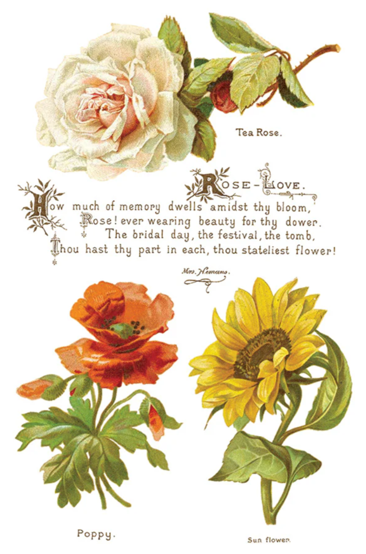 Lover of Flowers IOD Transfer 8x12 Pad™