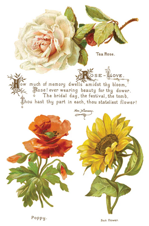 Lover of Flowers IOD Transfer 8x12 Pad™