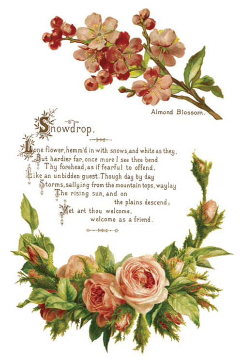 Lover of Flowers IOD Transfer 8x12 Pad™