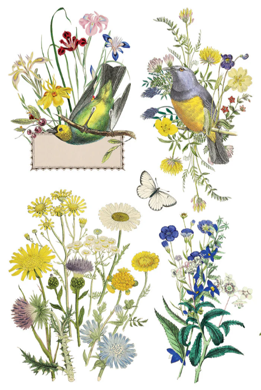 Flora Greca IOD Transfer 8x12 Pad™