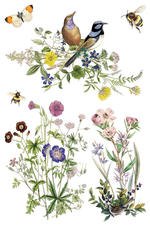 Flora Greca IOD Transfer 8x12 Pad™