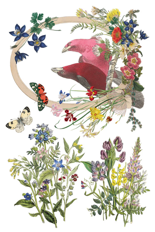 Flora Greca IOD Transfer 8x12 Pad™