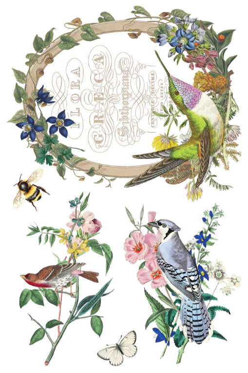 Flora Greca IOD Transfer 8x12 Pad™