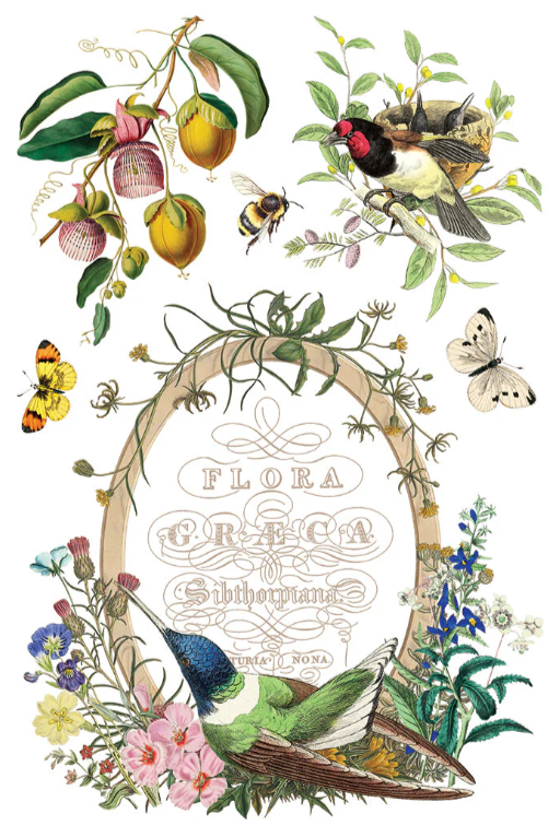 Flora Greca IOD Transfer 8x12 Pad™