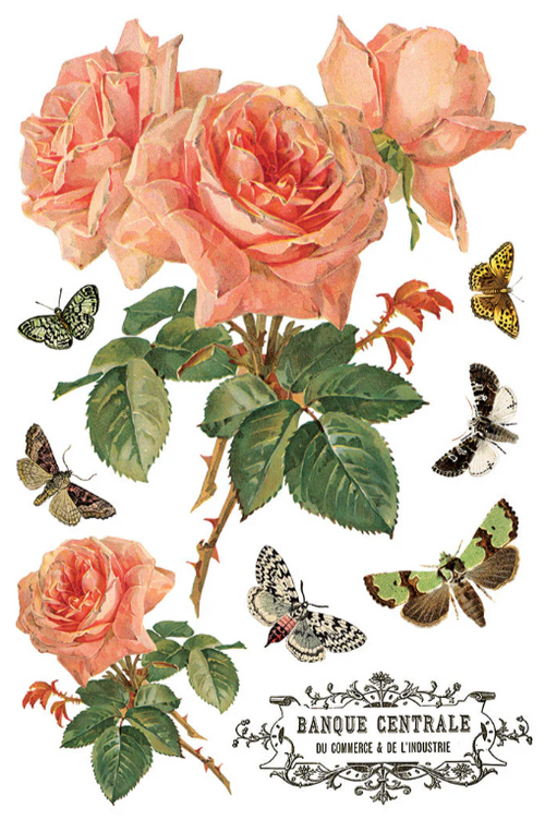 By Any Other Name IOD Transfer 8x12 Pad™