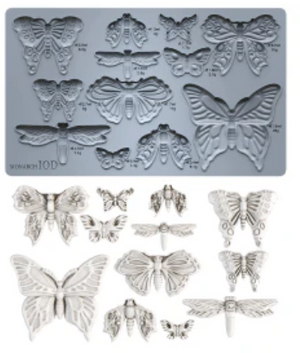 Monarch 6X10 IOD Mould