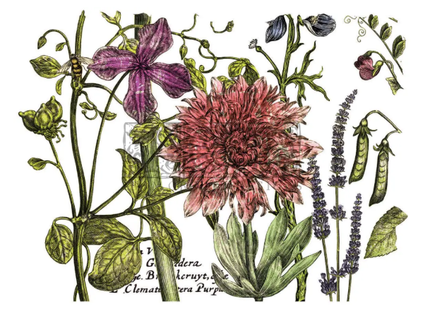 Botanist's Journal IOD Transfer 12x16 Pad