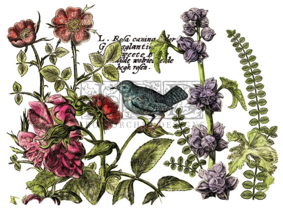 Botanist's Journal IOD Transfer 12x16 Pad